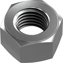 Stainless Steel Nut